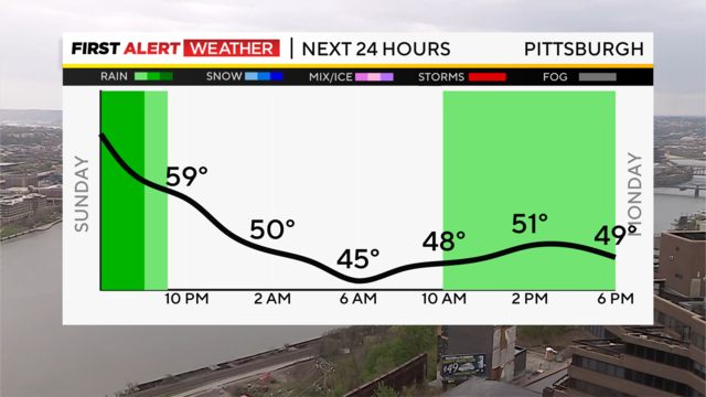 next-24-hours-temp-line-weather-bars-camera.png 