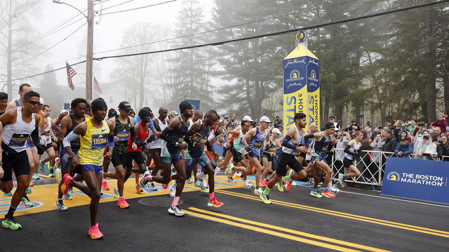 Terriers Running the Boston Marathon for a Cause