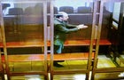 RUSSIA-UKRAINE-CONFLICT-POLITICS-TRIAL 