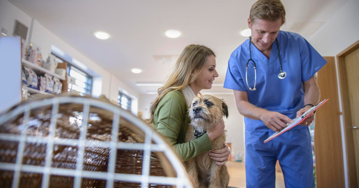 Smart Ways To Cut Pet Insurance Costs - CBS News