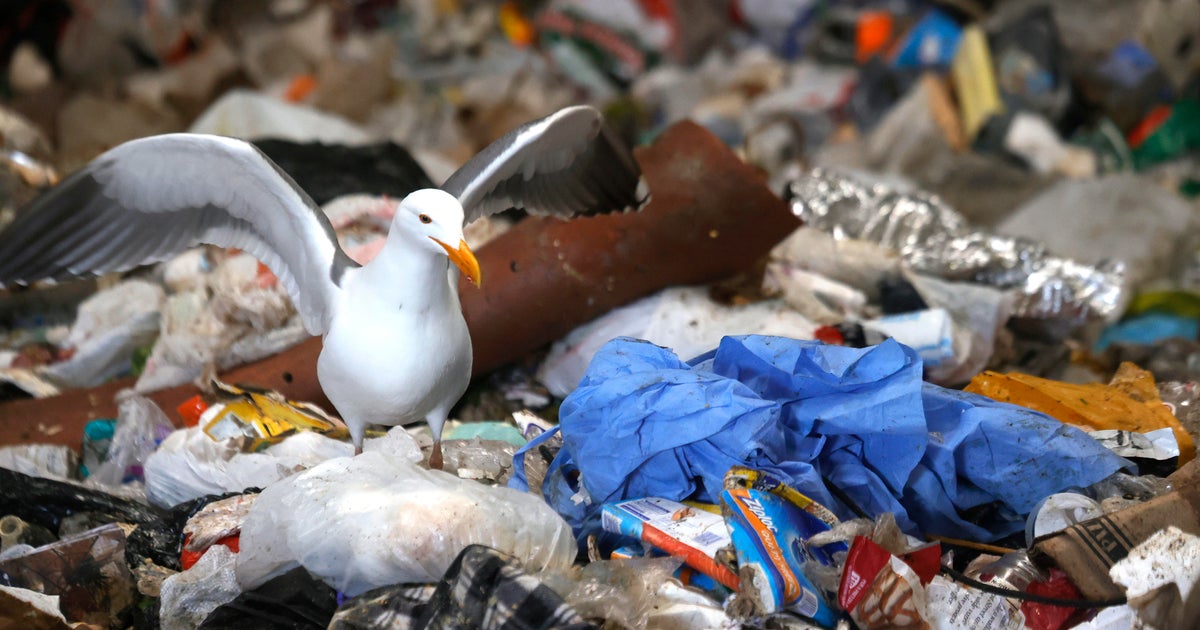 U.S. lawmakers want to curb plastic pollution. Here’s what to know about the Biden administration’s plan. U.S. lawmakers want to curb plastic pollution. Here’s what to know about the Biden administration’s plan.