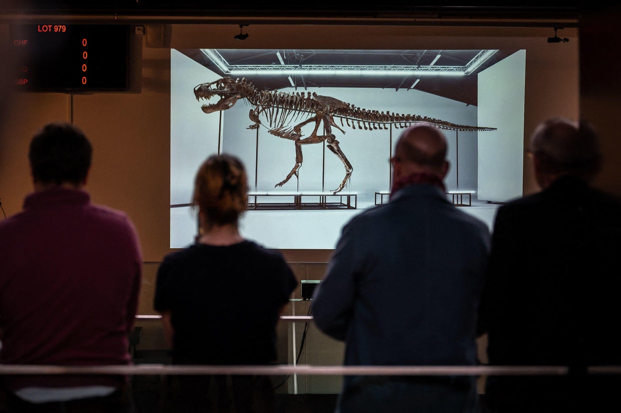 T. rex skeleton dubbed 
