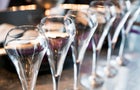 An Row of Champagne Flutes for Celebration Event 