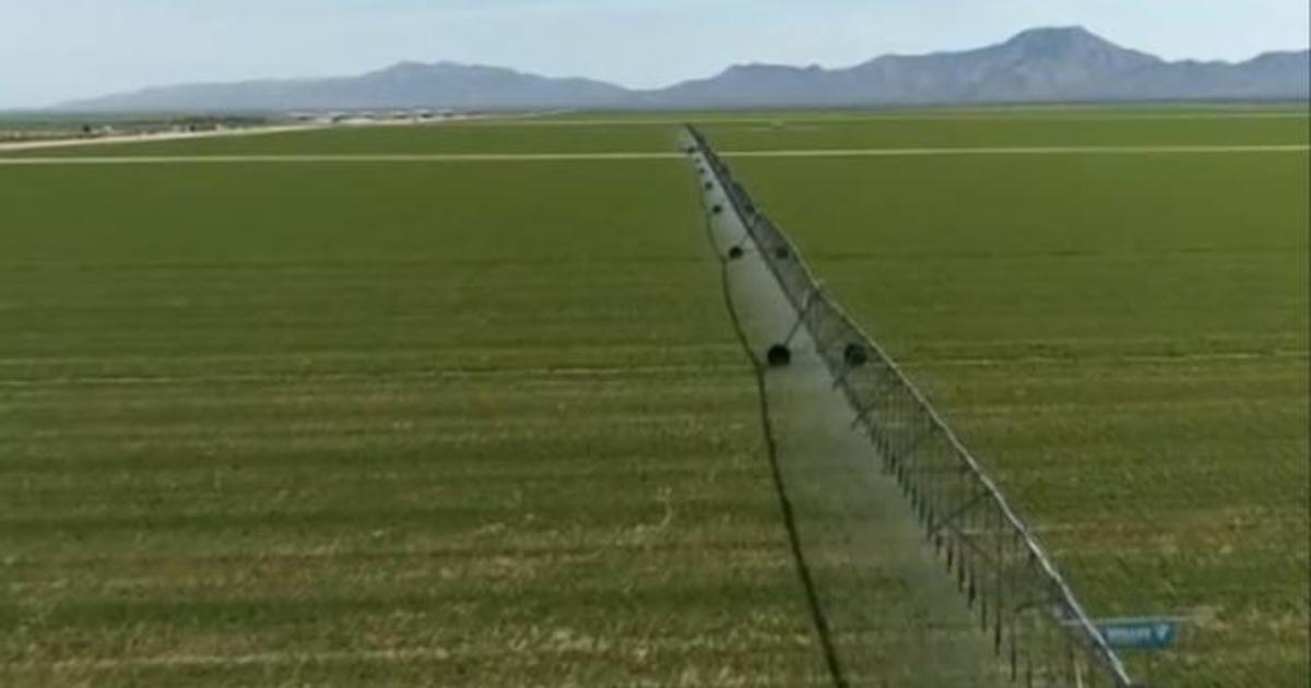 Arizona is canceling leases that allow Saudi-owned farm unlimited access to state's groundwater
