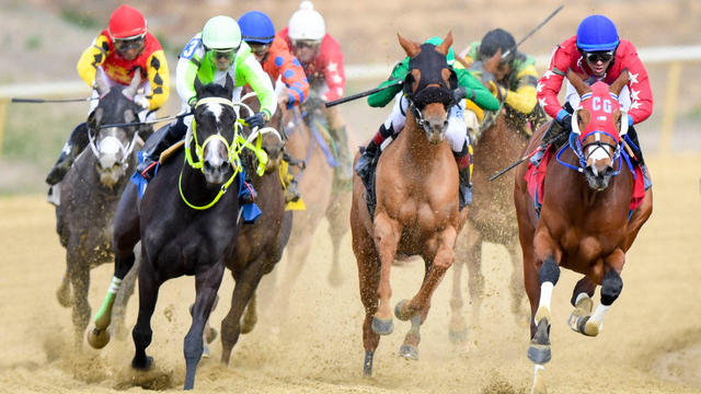 The Maryland Jockey Club at Laurel Park a continued live racing as scheduled with only personnel licensed by the Maryland Racing Commission in attendance 