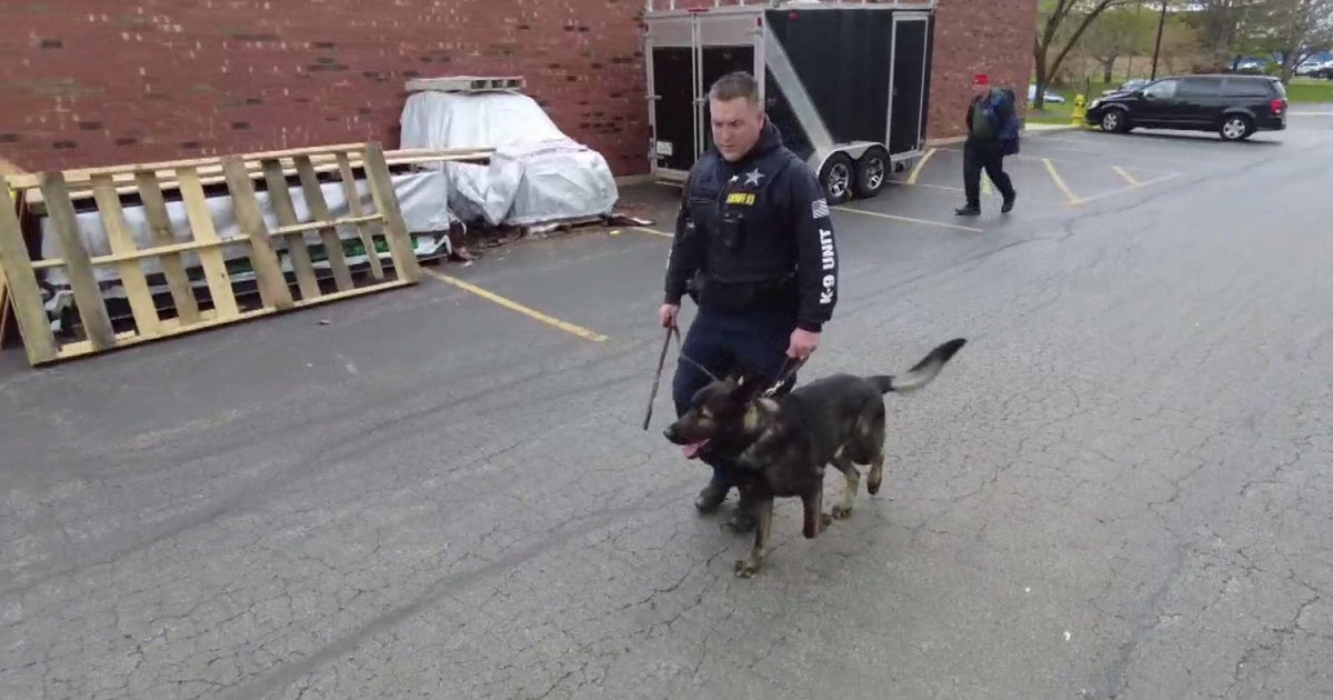 Dax, Lake Co. K-9, nabs suspect in home invasion - CBS Chicago