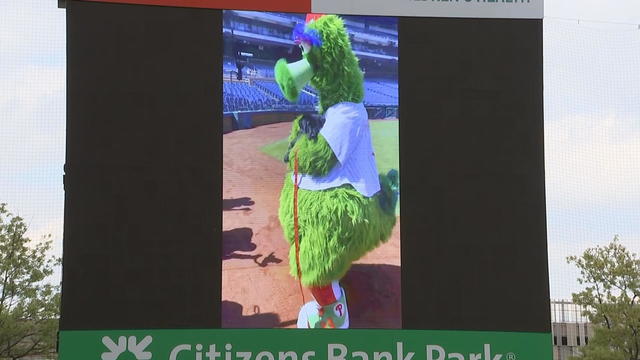 Phillies introduce Major, service dog-in-training, Video