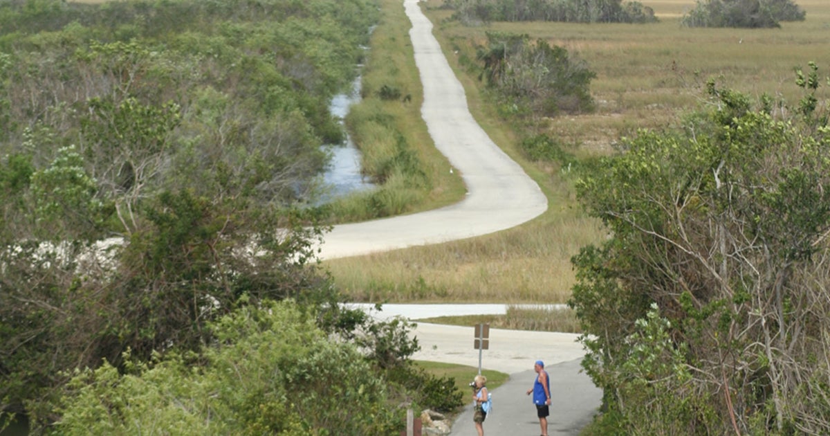 Everglades’ Shark Valley spot to briefly shut to people in May
