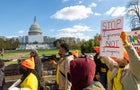 DACA Protest in in Washington 