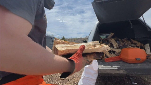 wood.jpg 