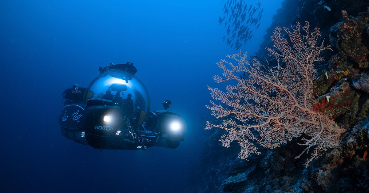 The research for 100,000 new species in Earth’s oceans