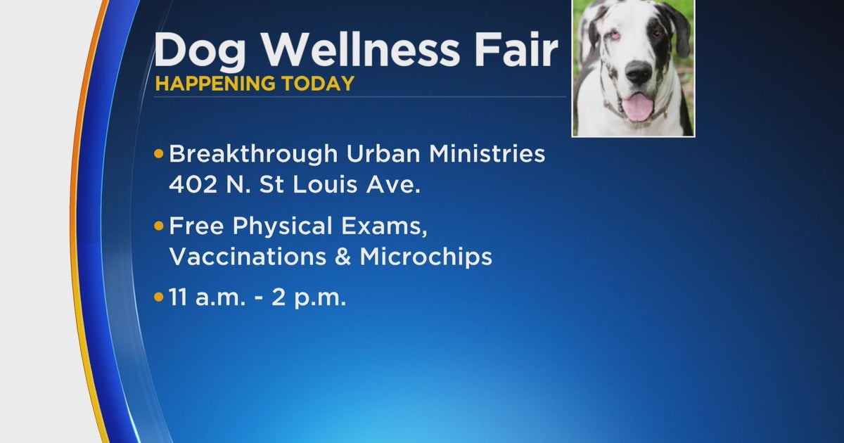 Animal Cruelty Society, Breakthrough Urban Ministries Dog Wellness Fair