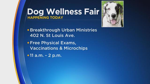 dog-wellness-fair.jpg 