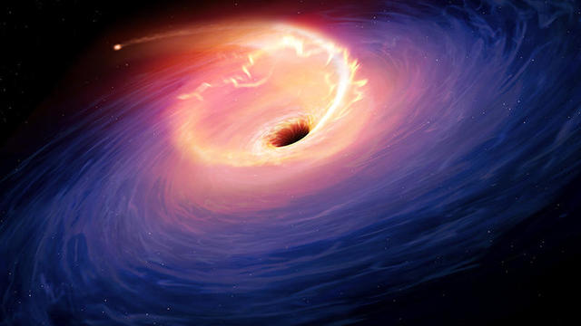 Black Hole Shredding a Star 