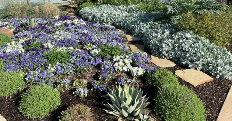Gardening 101 Landscape Design Cbs Texas