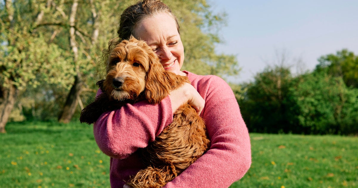 Is pet insurance worth it for dogs? - CBS News