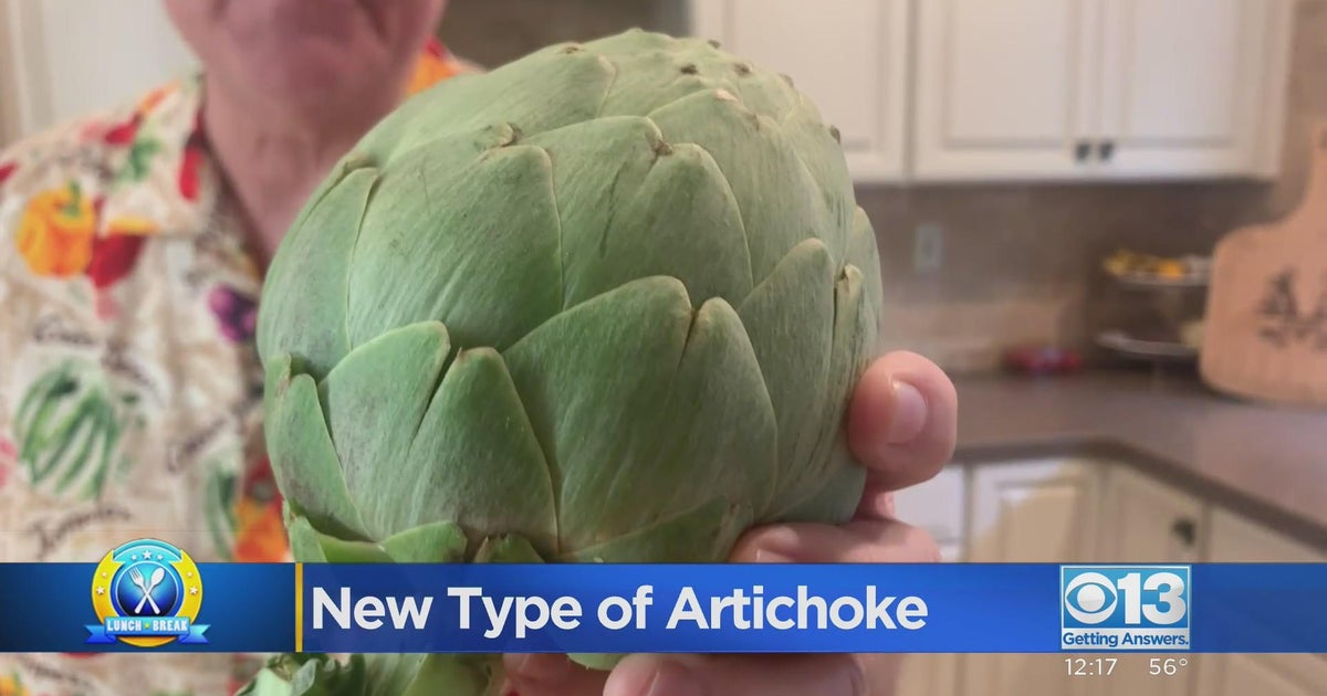 Lunch Break: Artichoke