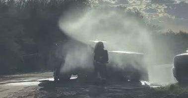 Arizona mother stung over 75 times by swarm of bees but her "quick