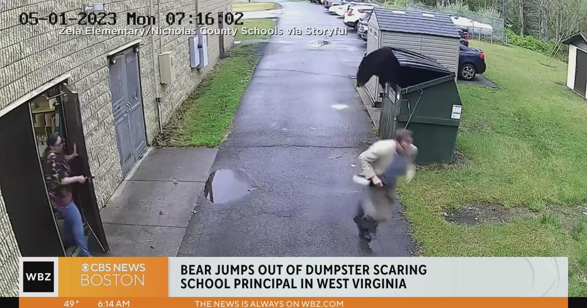 Bear jumps out of dumpster, scaring school principal