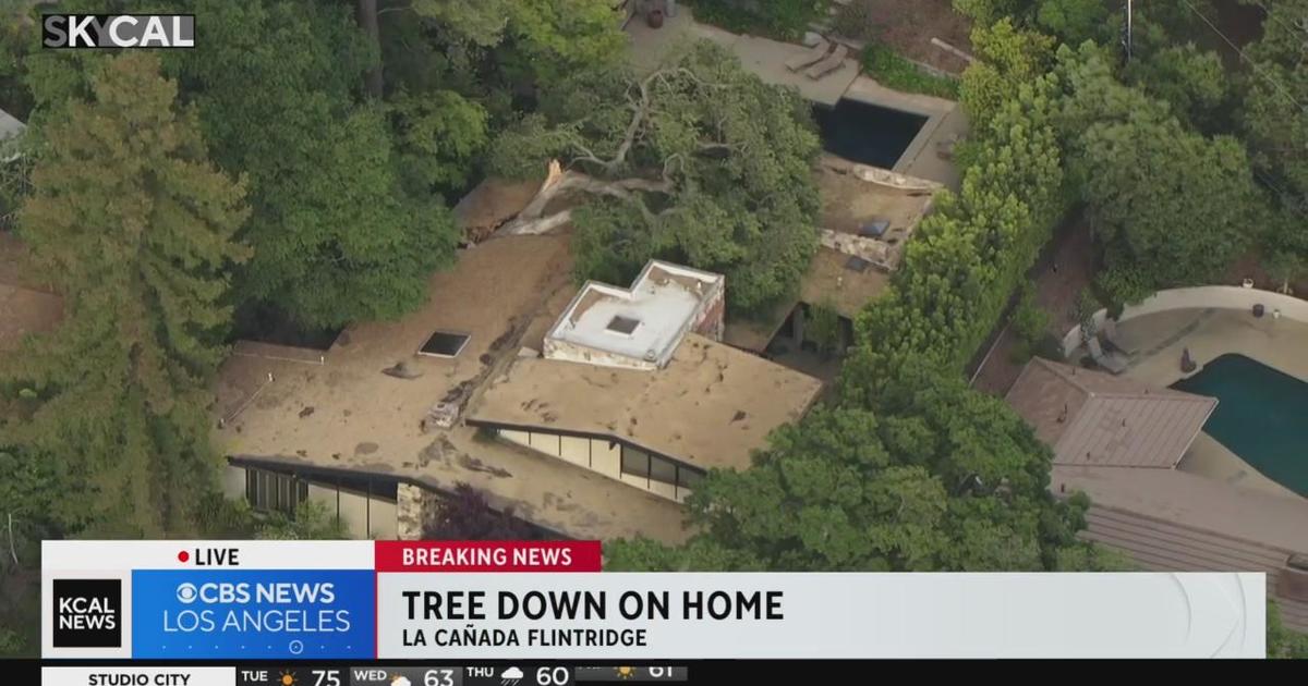 Tree Topples Onto Home In La Cañada Flintridge Cbs Los Angeles