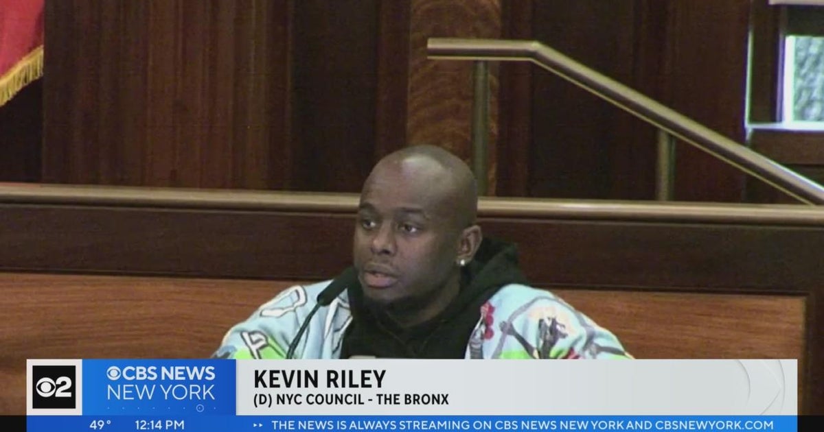 NYC Council meeting on mental health - CBS New York
