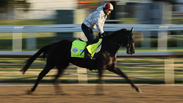 Mandarin Hero during the morning training for the Kentucky Derby at Churchill Downs on May 04, 2023 in Louisville, Kentucky. 