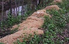 343993842-259948826390151-5823034646295992314-n.jpg 