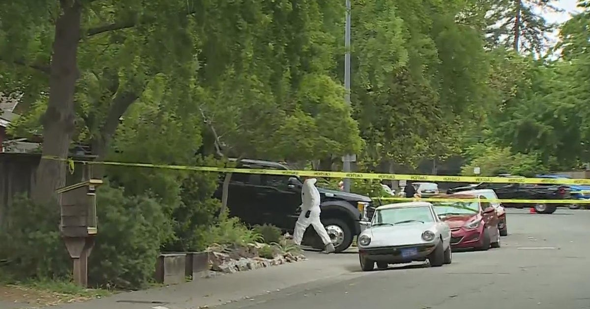 Davis stabbing: Police to announce arrest of man in custody - CBS ...