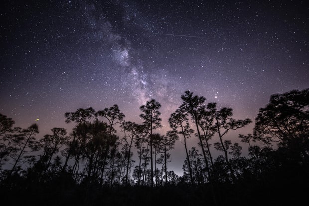 Eta Aquarid Meteor Shower, Babcock Wildlife Refuge, Florida 