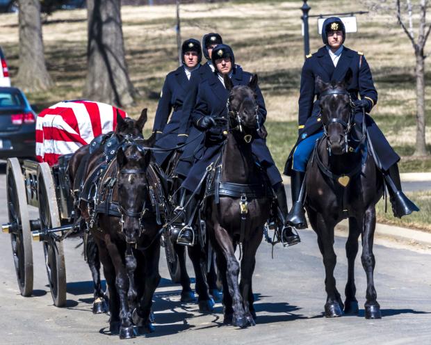 Arlington Cemetery pauses horse use for 45 days for well being considerations
