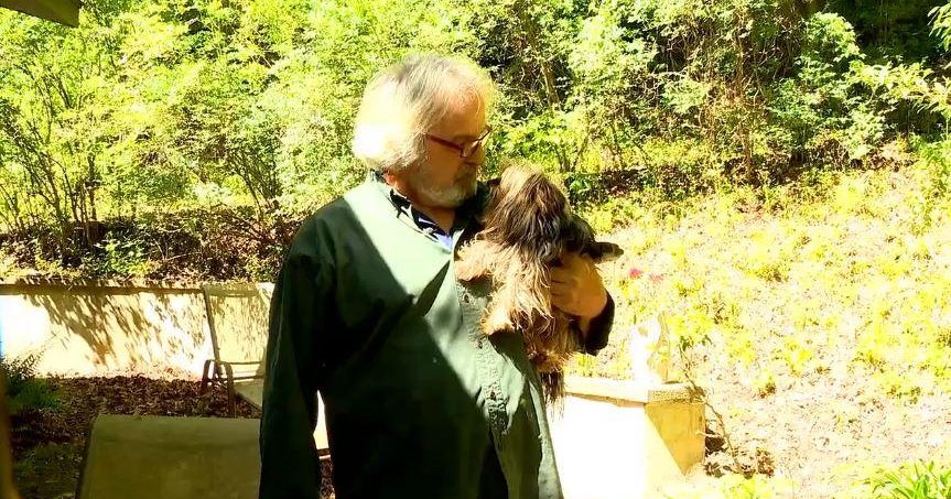 Henderson County person fights off bear to preserve his ‘best friend’