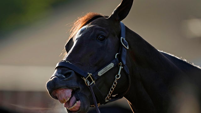 Kentucky Derby Horse Racing 