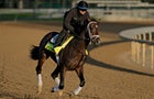 Kentucky Derby Horse Racing 