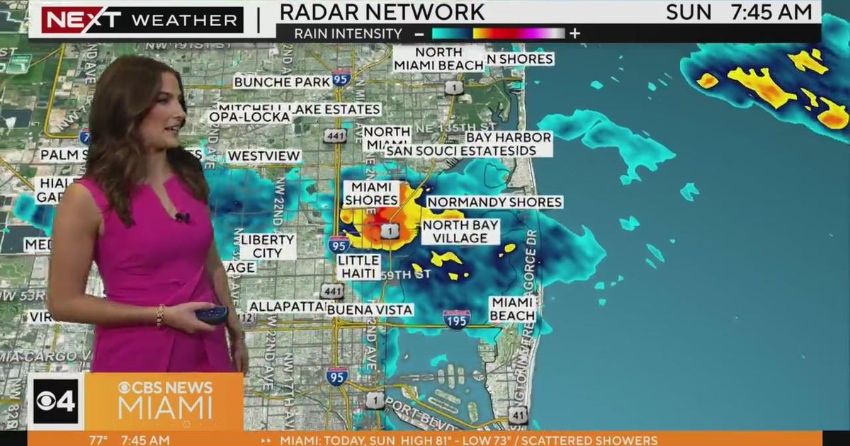 Weekend Forecast: Possible Shower, Wind - CBS Miami