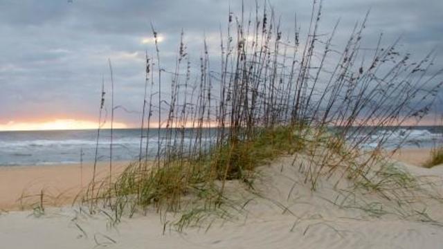cape-hatteras-national-seashore-dunes.jpg 