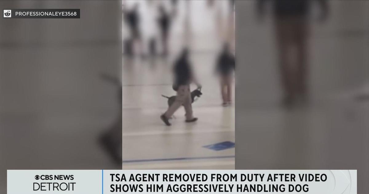 Detroit TSA K-9 handler removed from duty after video shows him aggressively handling dog