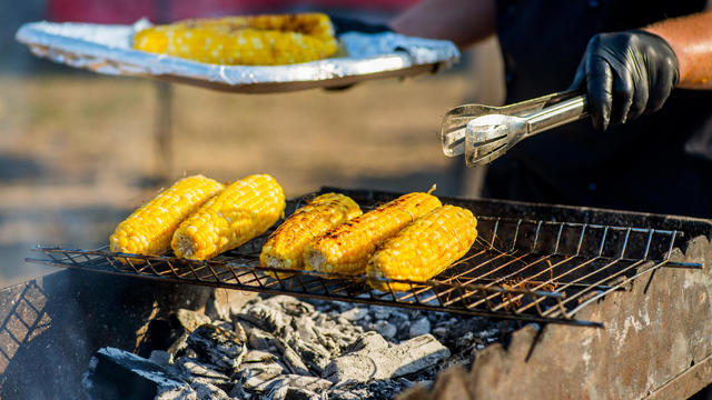 BBQ corn. Hands in gloves flip corn on an open barbecue fire. Corn on a charcoal grill.Picnic in the backyard during a family holiday. 