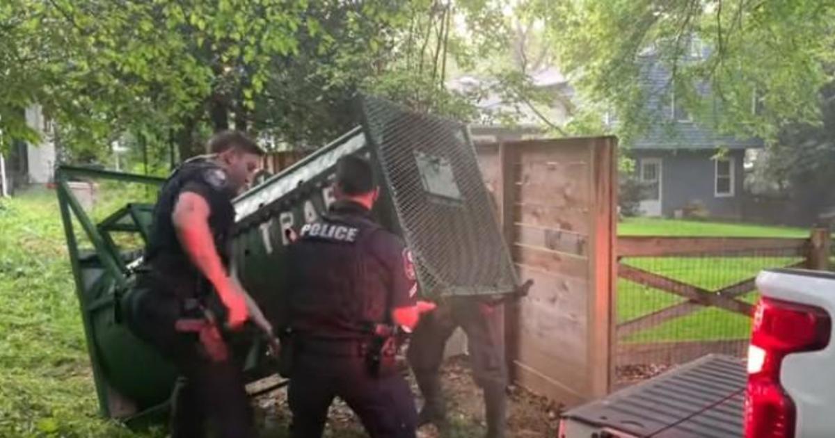 Black bear relocated from residential neighborhood in Maryland city