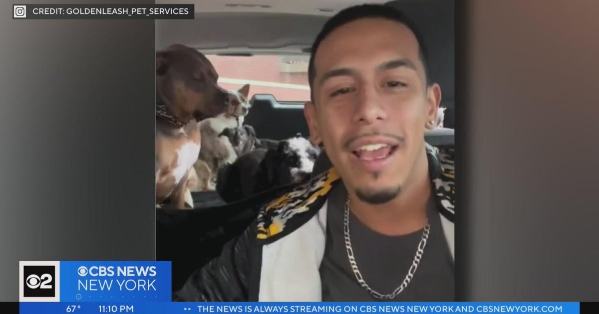 Beloved dog walker killed in North Bergen hitandrun CBS New York