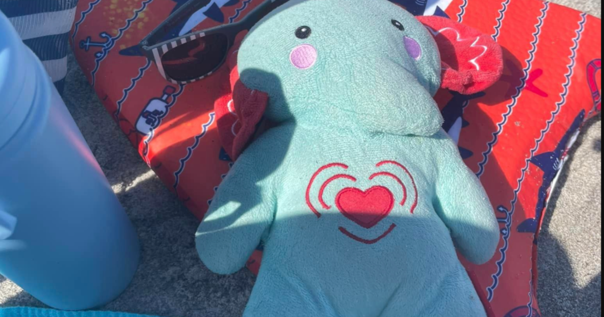 Sebuah keluarga kehilangan seekor gajah mainan yang membawa abu putra mereka di kapal pesiar Disney