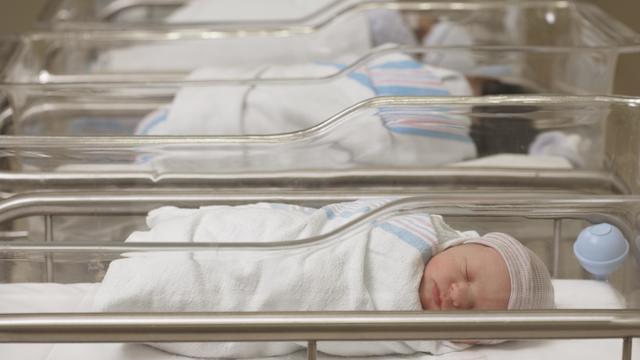 Newborn babies sleeping in hospital nursery 