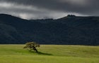Heavy Rains Hit Santa Barbara Wine Country 