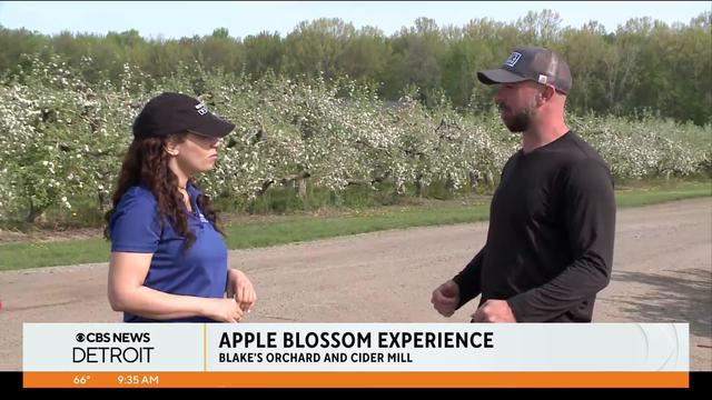 apple-blossom-experience.jpg 