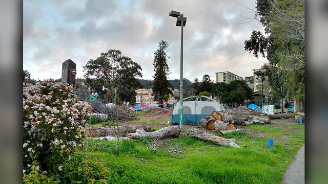 People's Park in Berkeley 