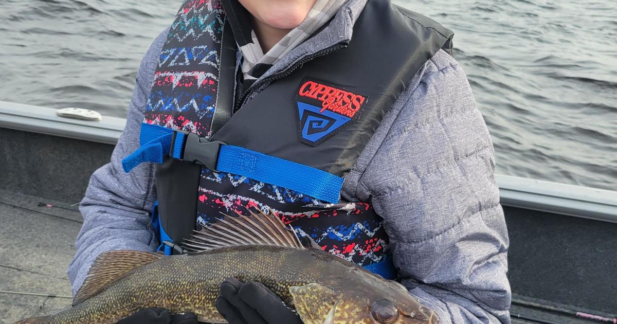 WCCO  CBS News Minnesota on X: FISHING OPENER WEEKEND 🐟 Ron Hustvedt  caught this 27-inch walleye on the Gull Lake near Nisswa. Send us your  fishing opener photos:   /