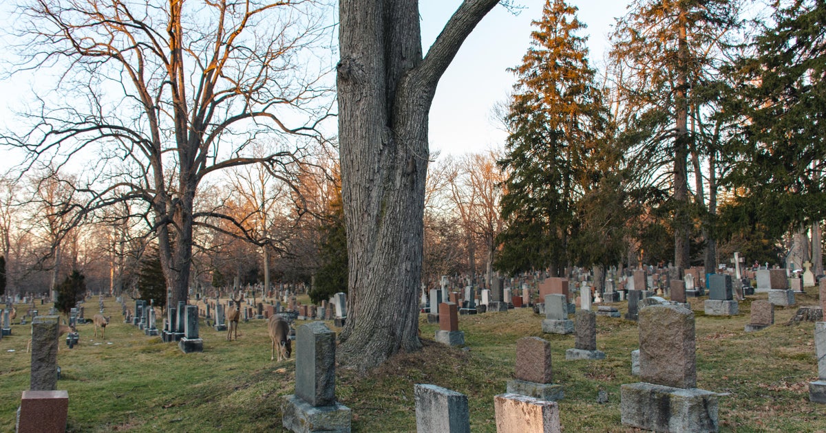 Standoff at central Minnesota cemetery ends in arrest of arson suspect