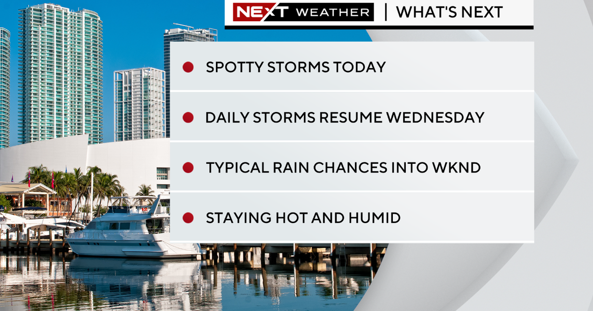Miami Weather: Primarily sunny, rain likelihood enhance Wednesday