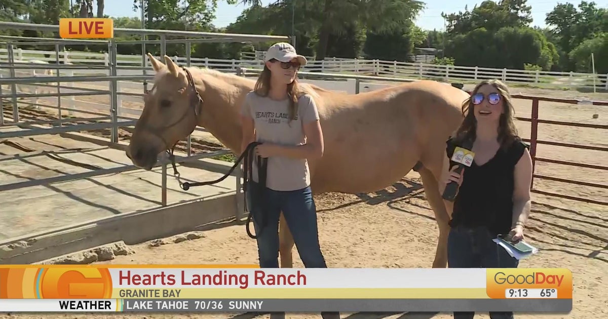 Hearts Landing Ranch - Good Day Sacramento