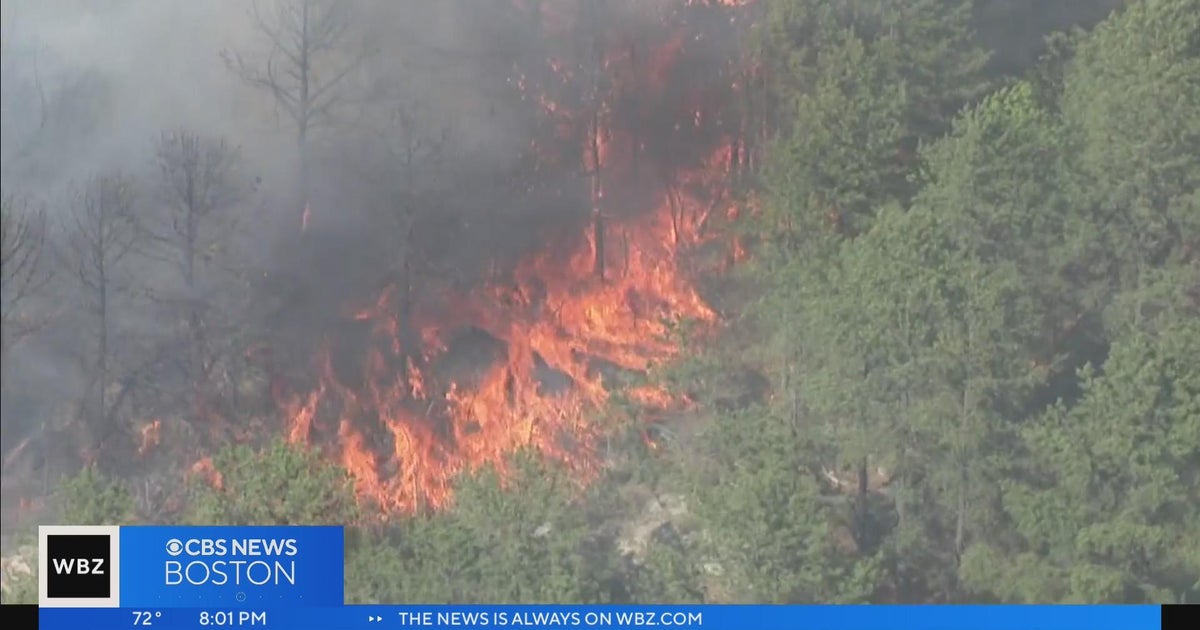 Travel Warning: Hazardous Conditions Expected In Boston