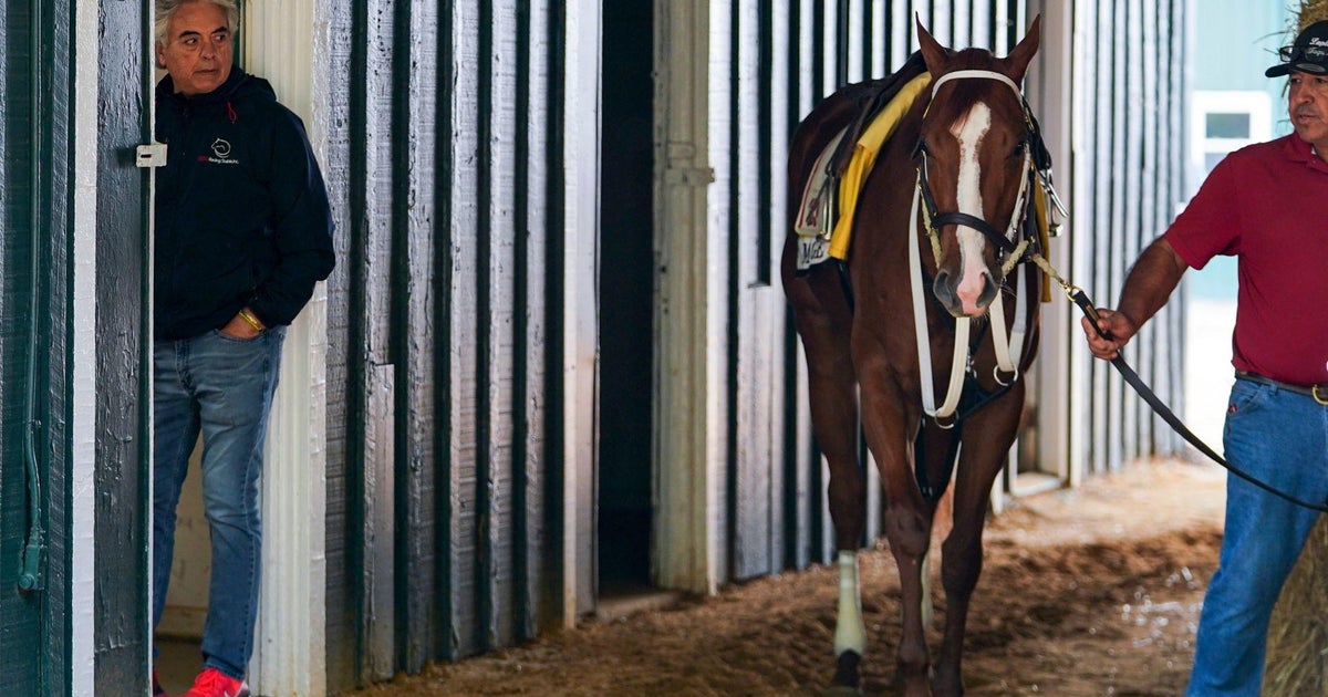 Preakness Stakes safety protocols discussed in wake of recent horse racing deaths - Vimarsana News
